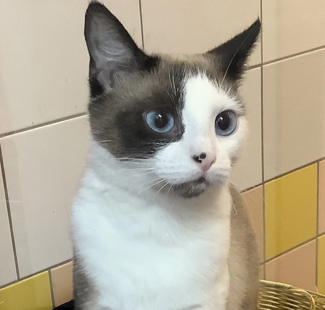 screenshot 20231112 214103 gmail 1