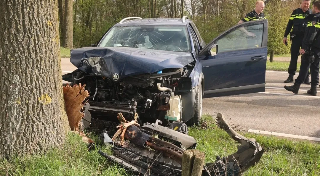 screenshot 20240331 113846 gallery