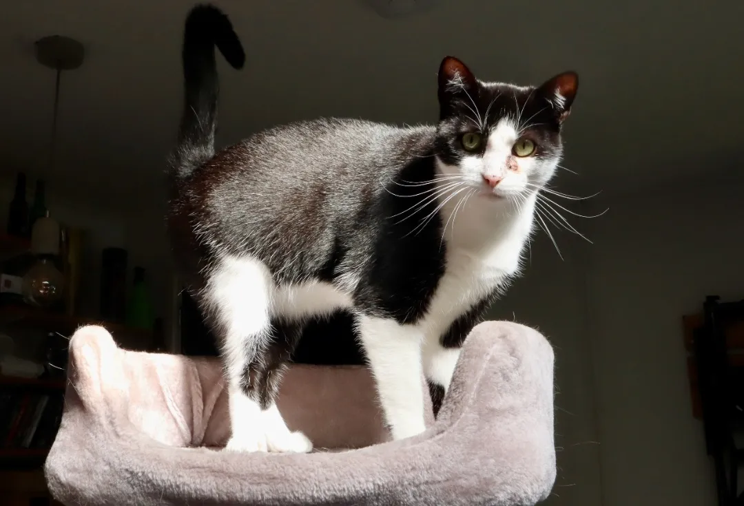 screenshot 20240519 213436 gmail