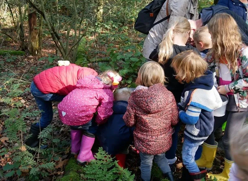 scharrelkids ivn uden 3
