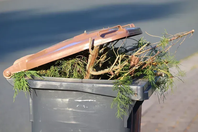 garbage can 5398348 1280 1 2 6716950bd012a