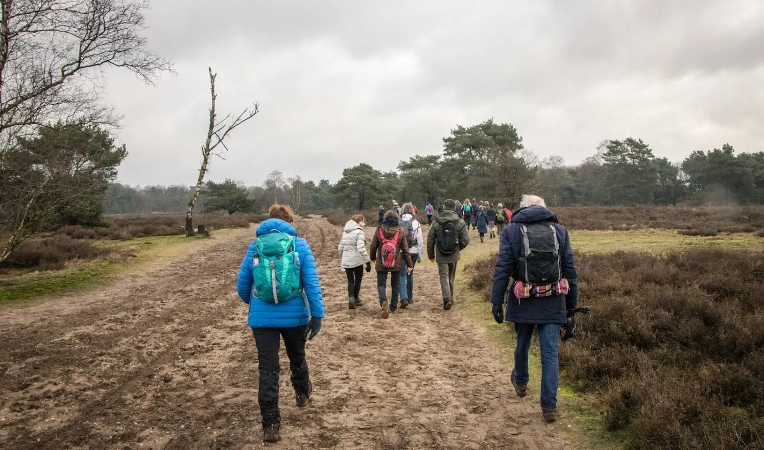 blip20189263 16 25240318787 o