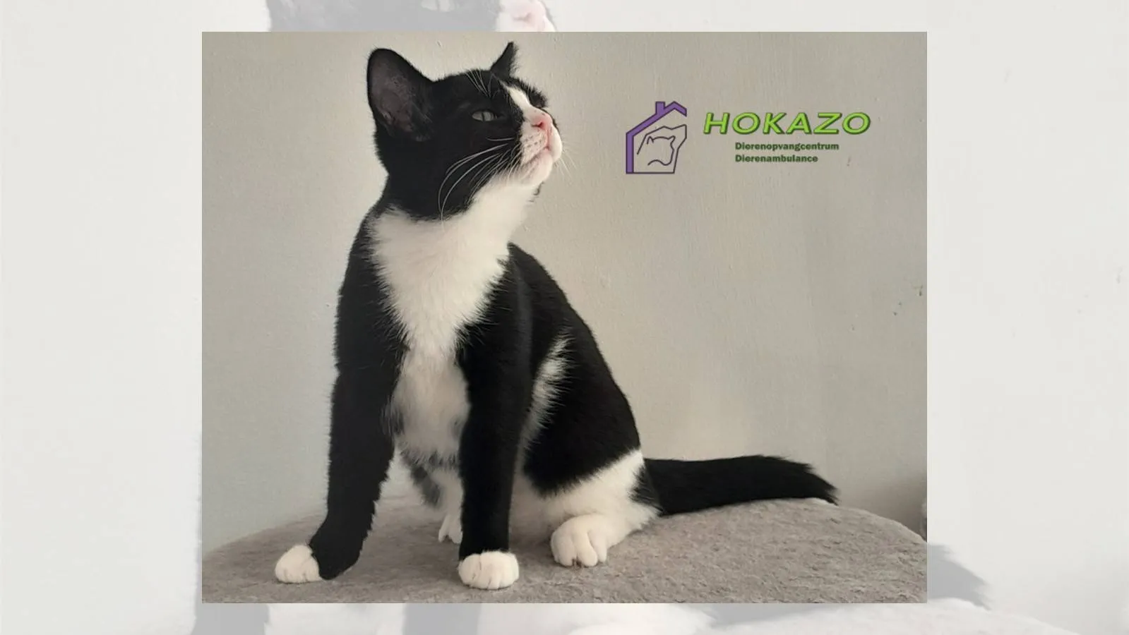 03-11-2025 Asieldier van de Week