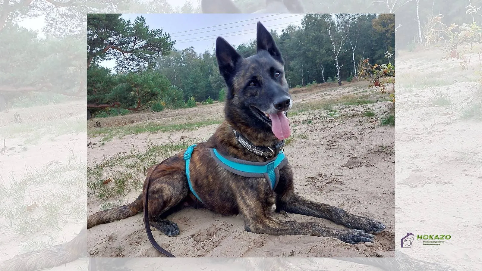 29-12-2025 Asieldier van de Week Luuk