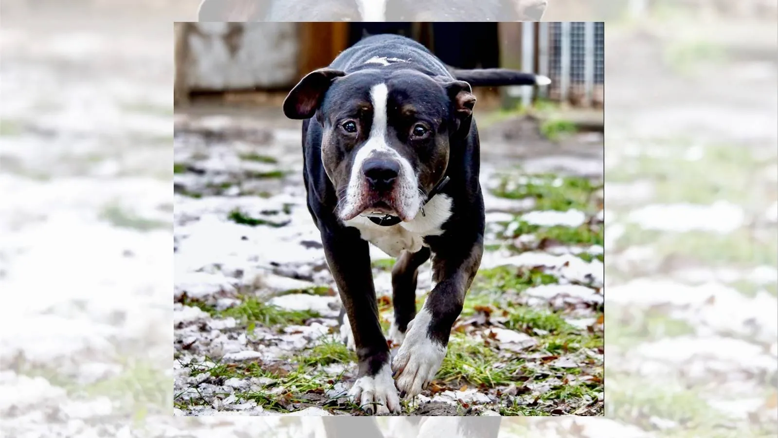 04-02-2026 Hokazo - Max