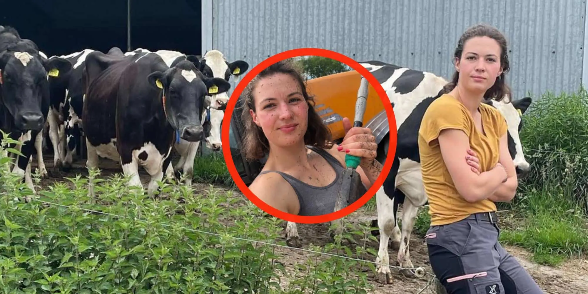 boerin annemiek boerenprotest