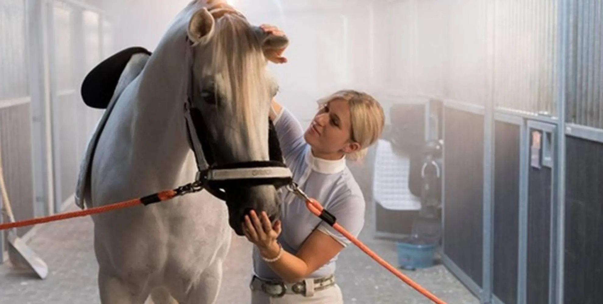 britt dekker paard kerst foto kusje