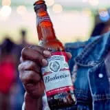 budweiser nederland