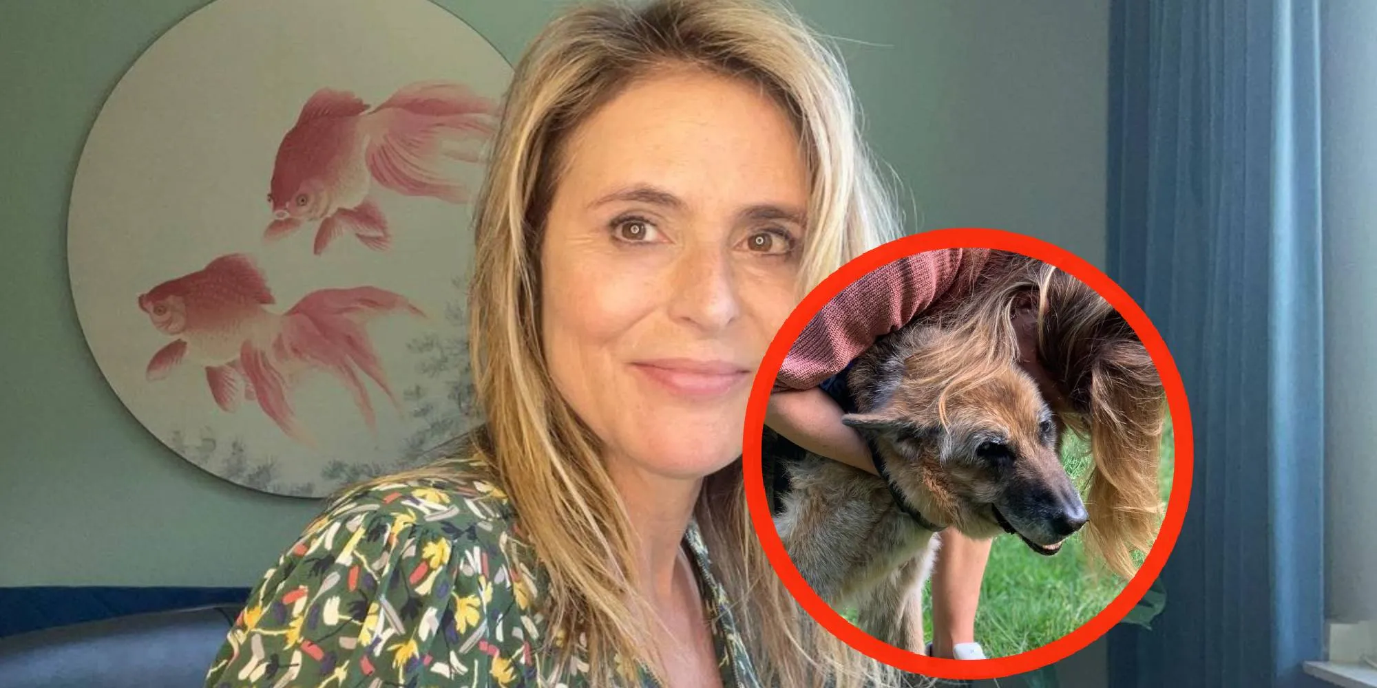heleen van royen duitse herder bedpartner foto