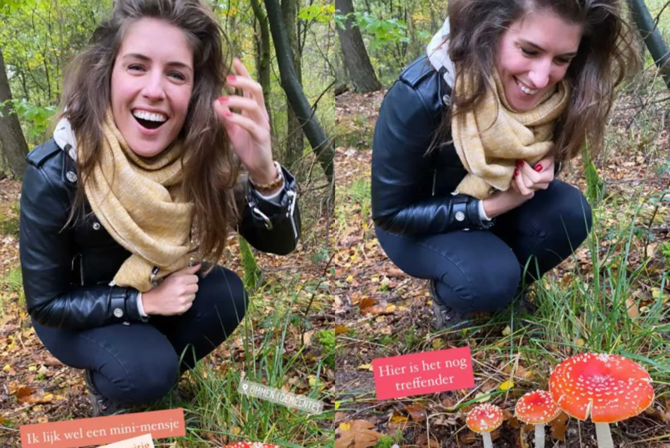 marieke elsinga herfst paddestoel