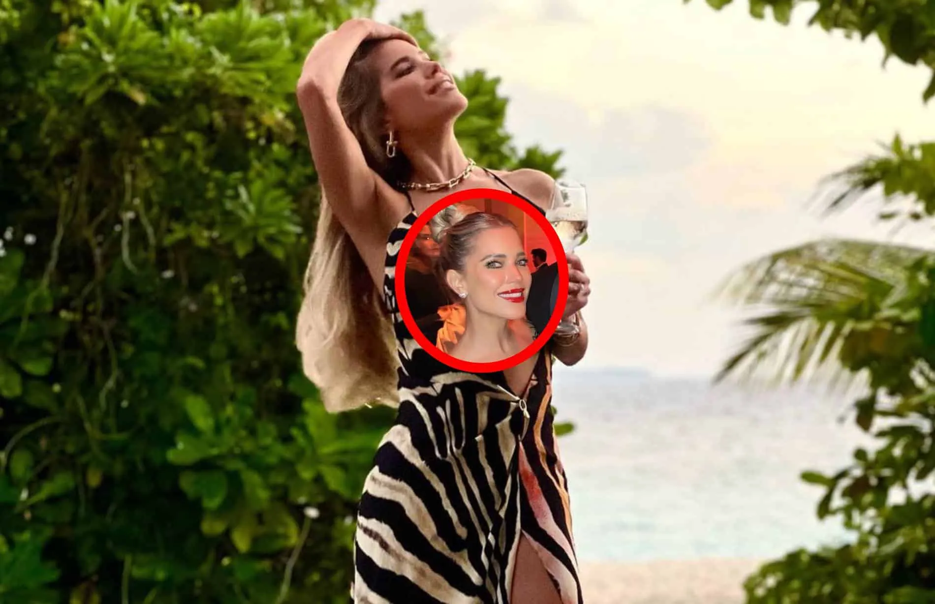 sylvie meis misselijkmakend video