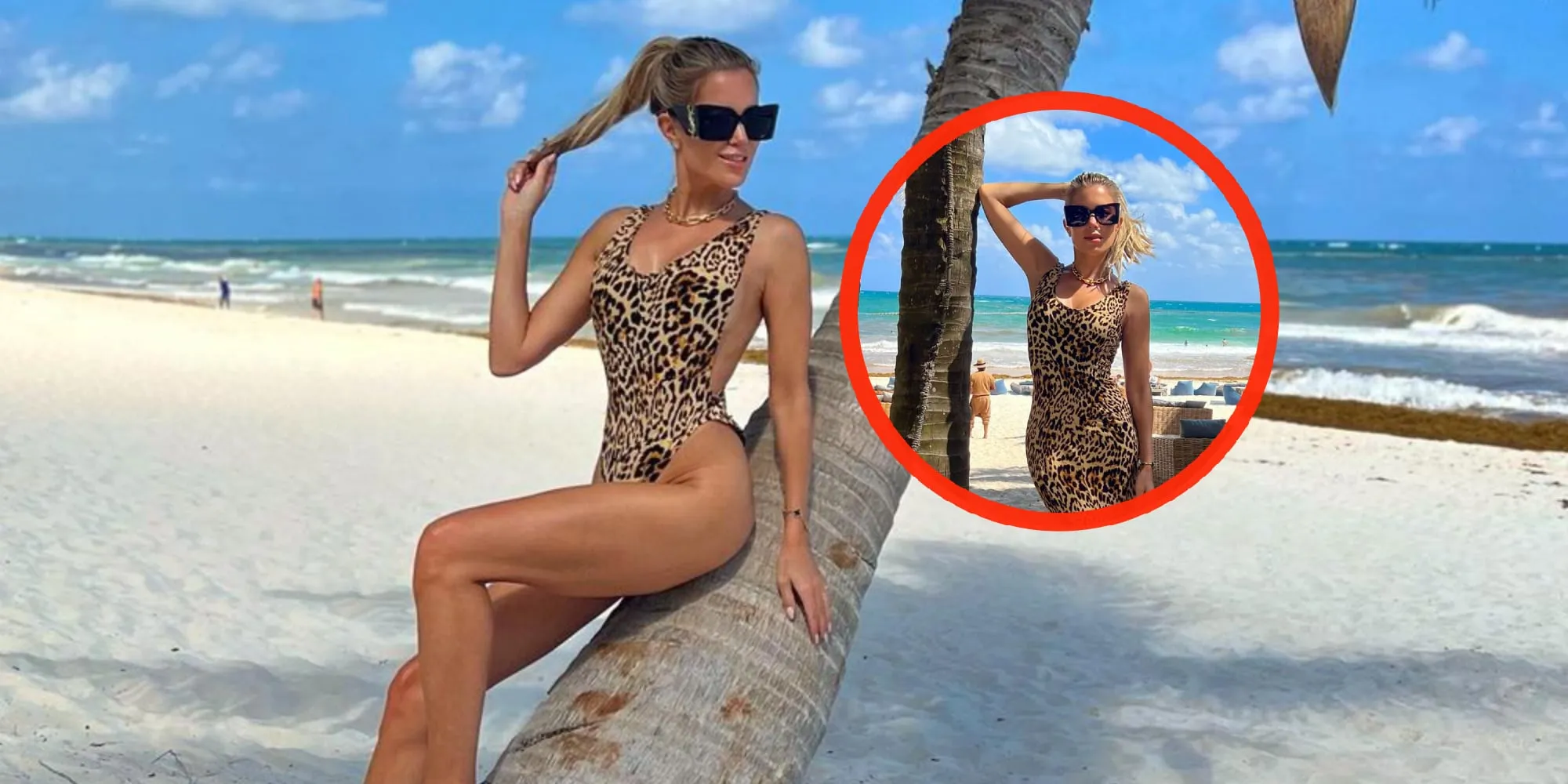 sylvie meis panther foto