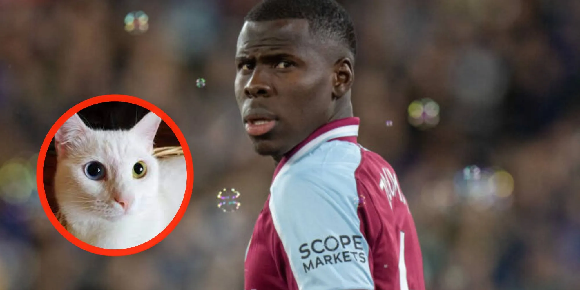 west ham kurt zouma kat schoppen foto