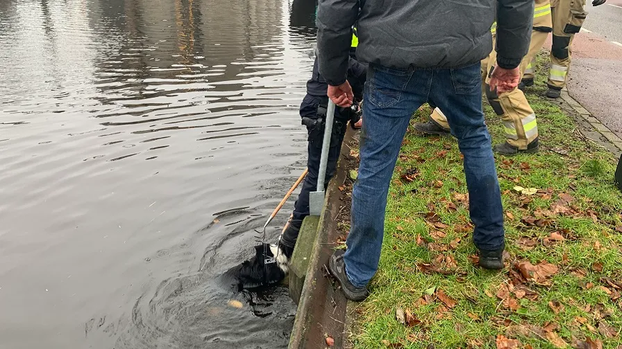 06 02 2021 hond te water 04