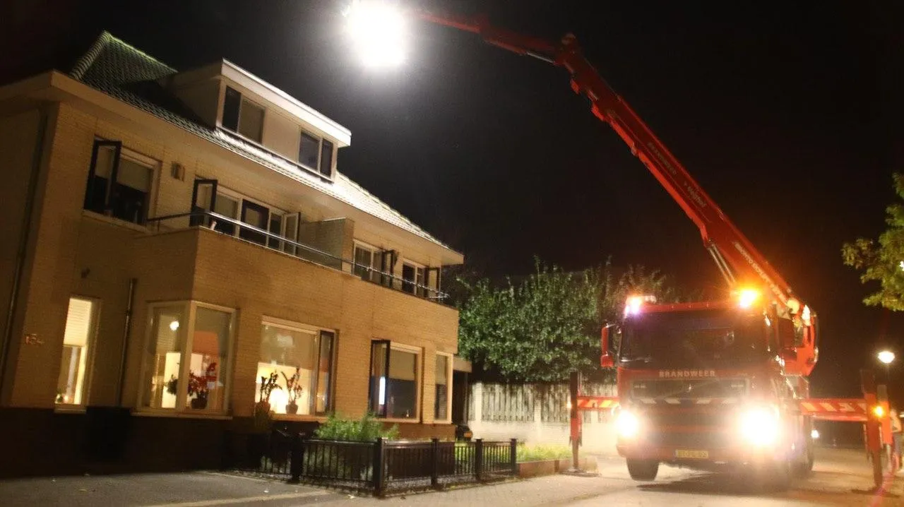 13 08 2020 kat op dak 03