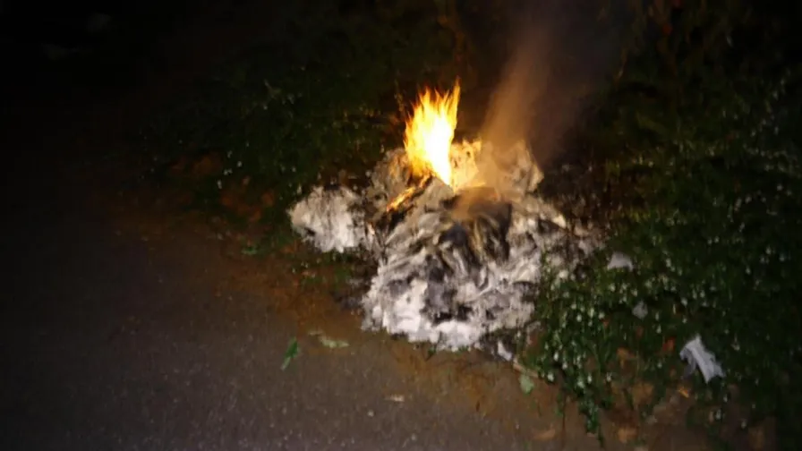 15 05 2020 buitenbrand lookveld 01