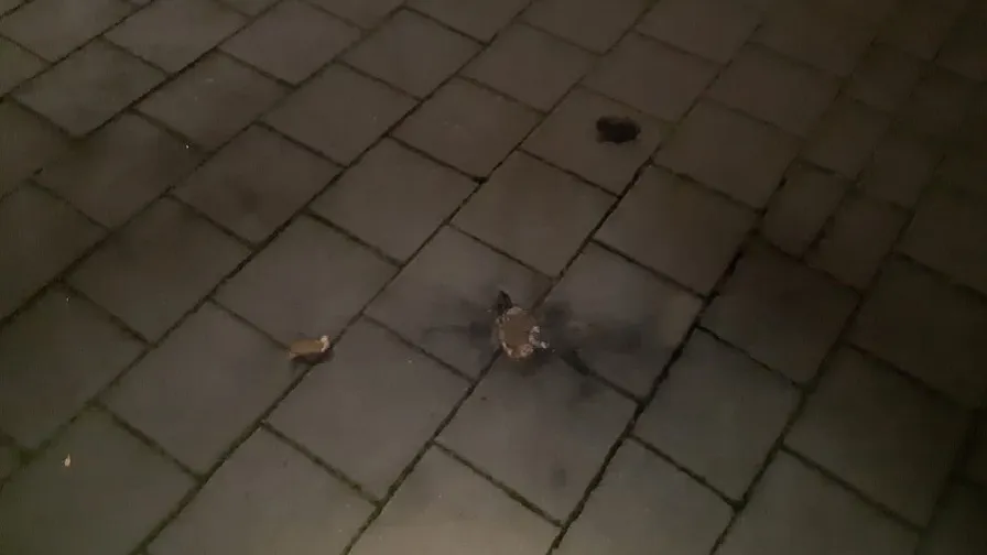 18 11 2020 politie schijndel