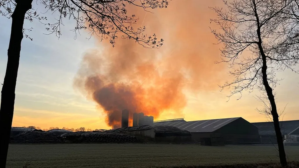 18 12 2022 brand erp 01