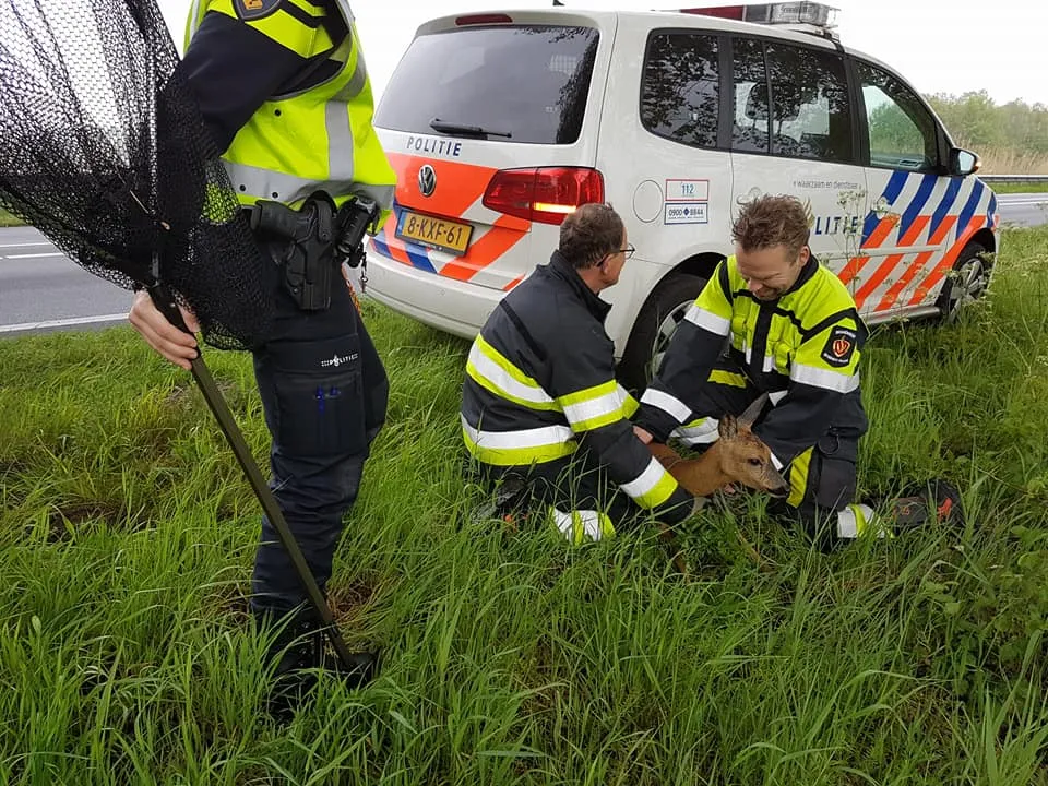 18402731 1833453220310845 3914799468244356716 n