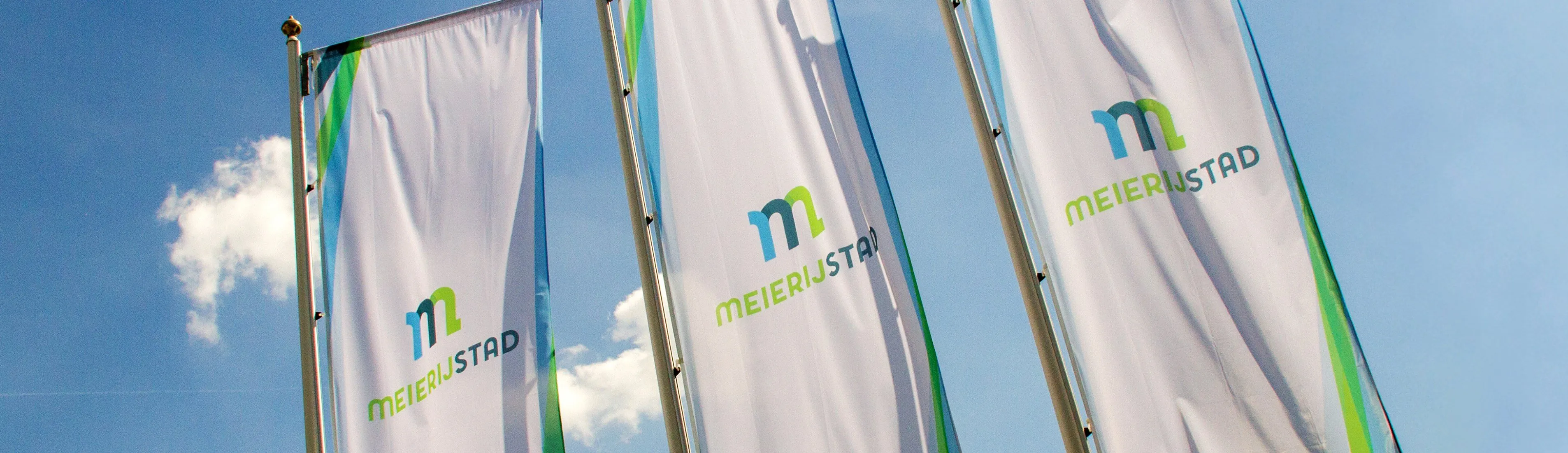 18673147 1957345517831694 1952355018086182568 o