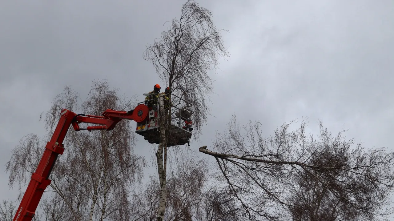 2023 12 22 stormschade eerde 05