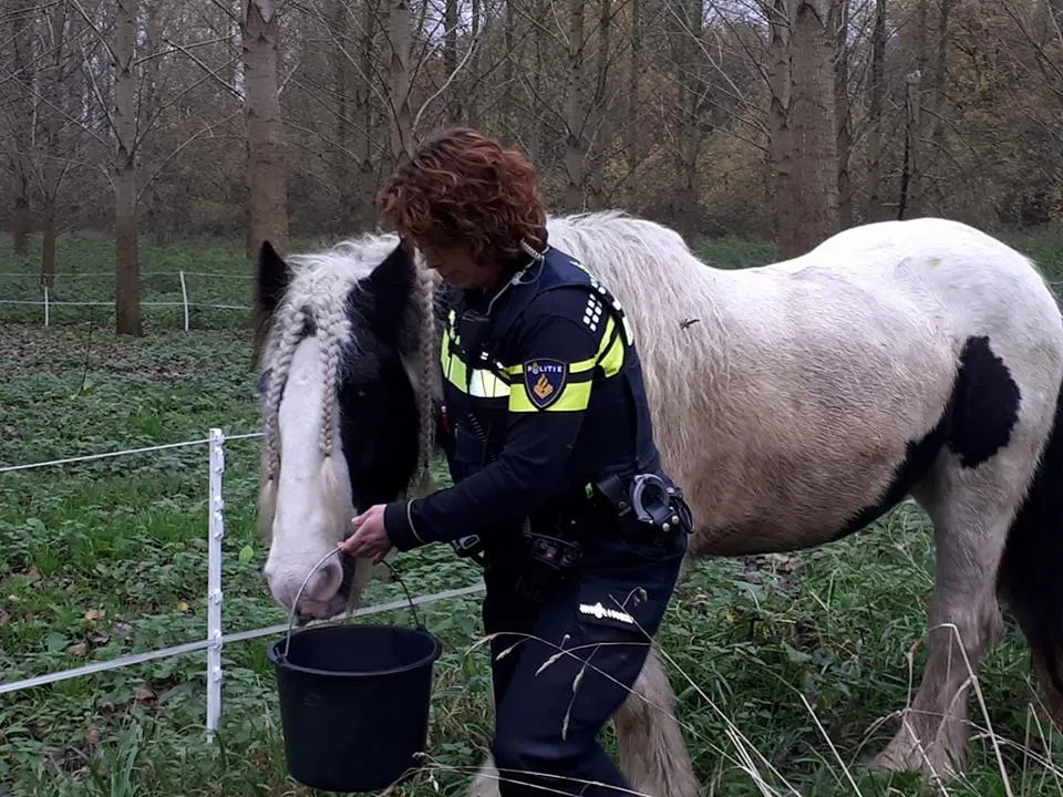 23561487 868806576618879 8812325340924120847 n