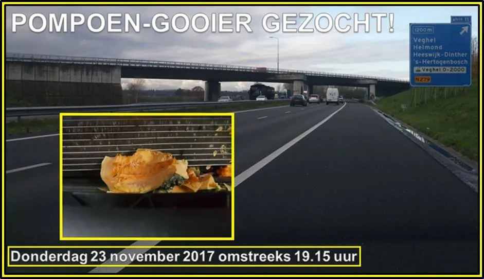 23795853 1977244655858053 3959177227872895331 n