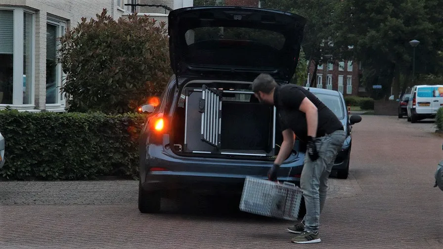 26 05 2022 kat in de problemen 01