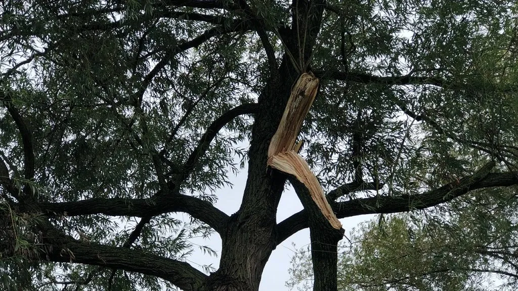 27 07 2023 stormschade veghel 04