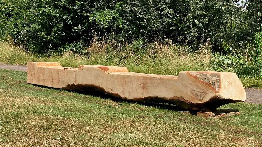 347406408 566062132370013 8874003915513652285 n