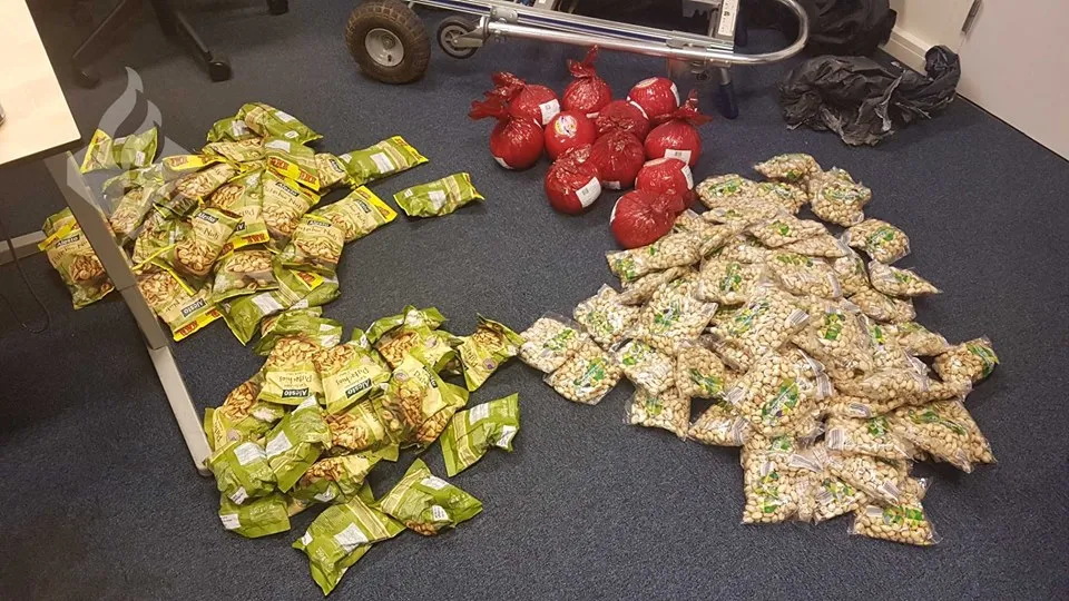 42516573 2154761568180007 2370224006340018176 n