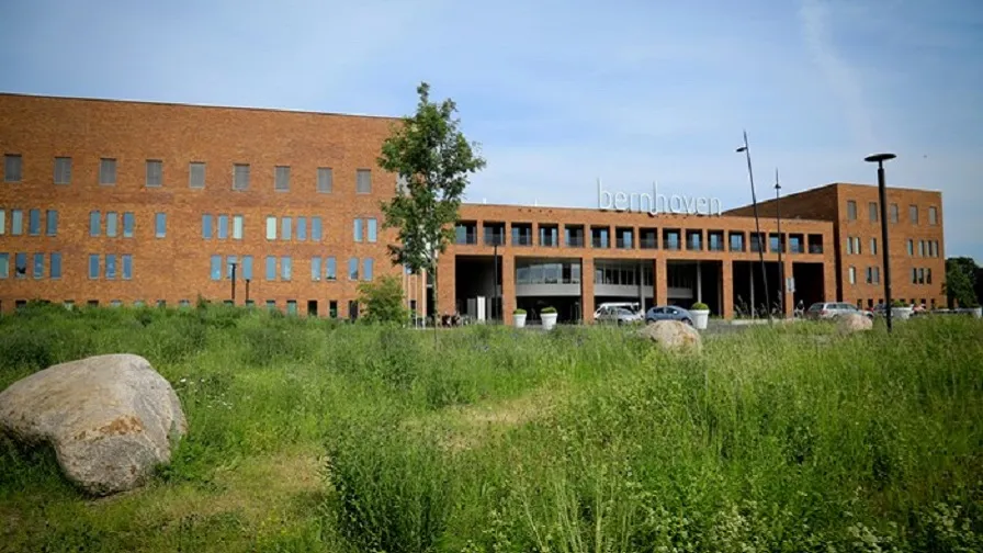 49029289596 84bb44cd47 o