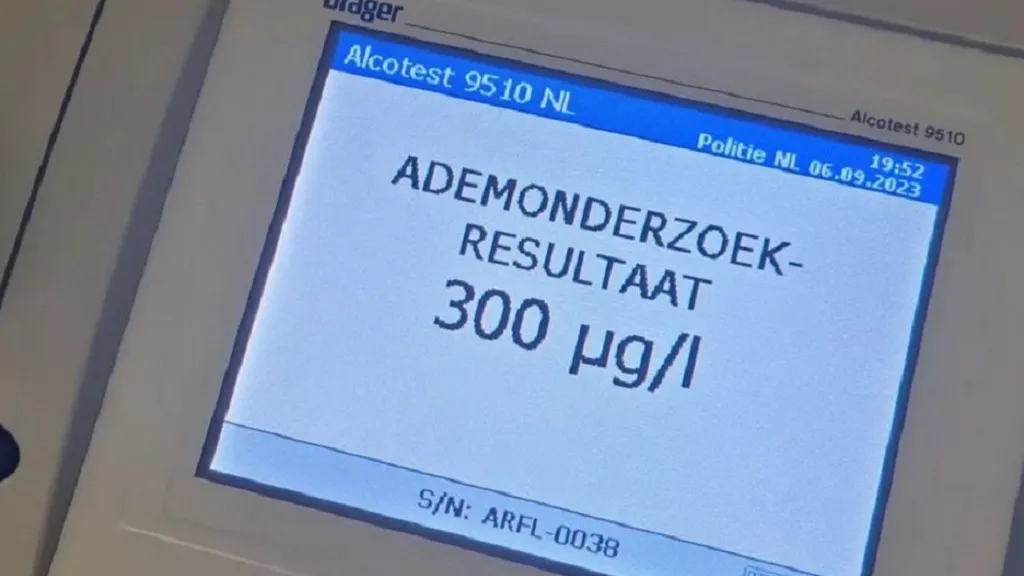 77e3a156 8fd4 4263 b2c5 980f741615e5