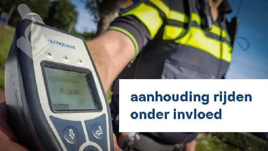 98089066 2630954550560704 3415258071365058560 n