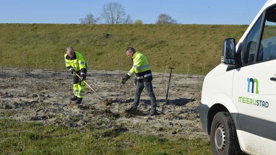 aanplant bomen op groenstrook langs sonseweg in nijnsel