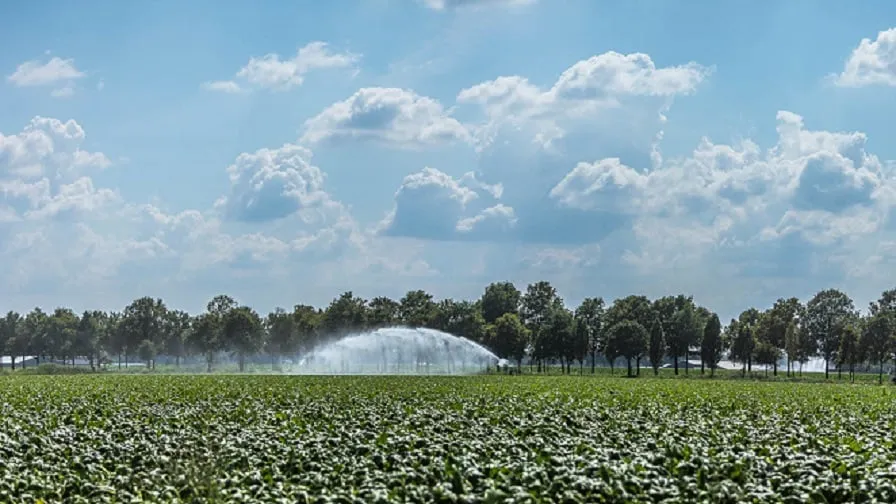 afbeelding bij onttrekkingsverbod