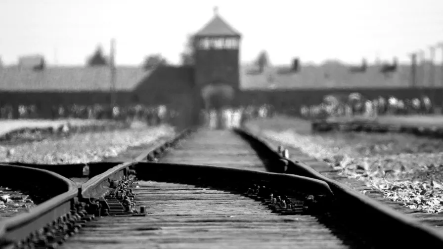 auschwitch 896x504