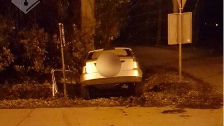 auto in greppel