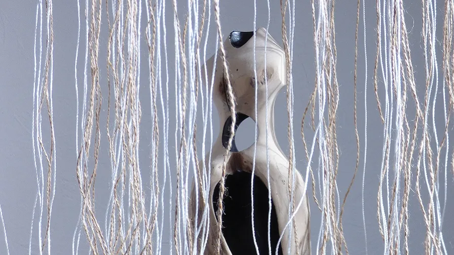 bart ensing schemerwerelden