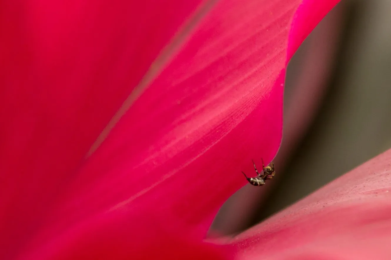 cid20587 170802 c5317l 1330x886 resize