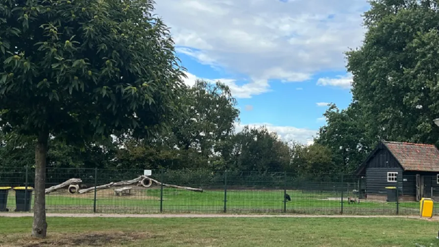 dierenparkje veghel zuid