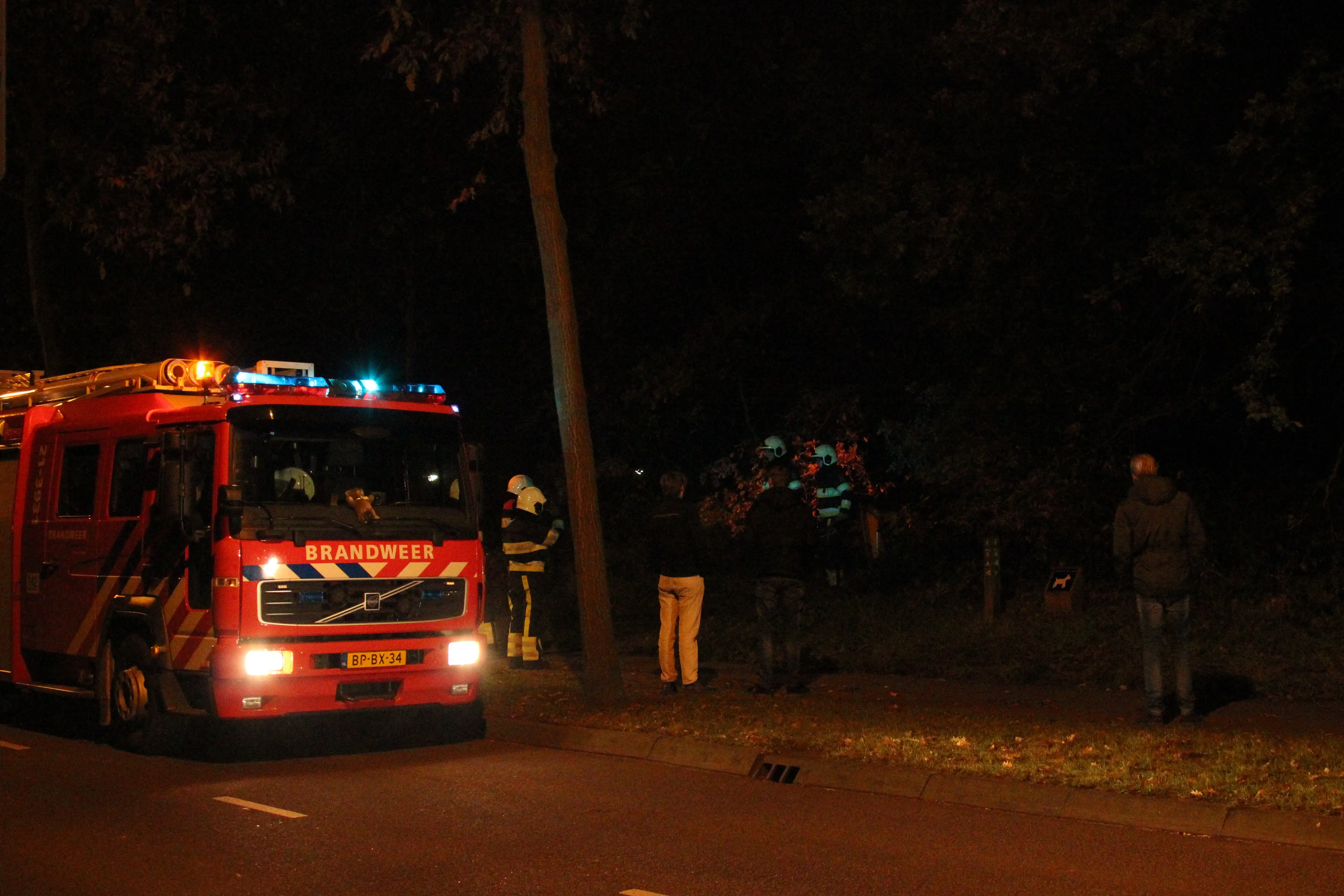 ed00bea1 9adc 4fc7 a21f 40201f232261