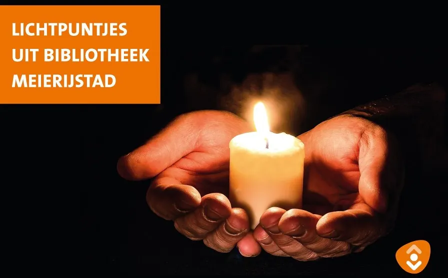 fb lichtpuntjes meierijstad 1200x800 1