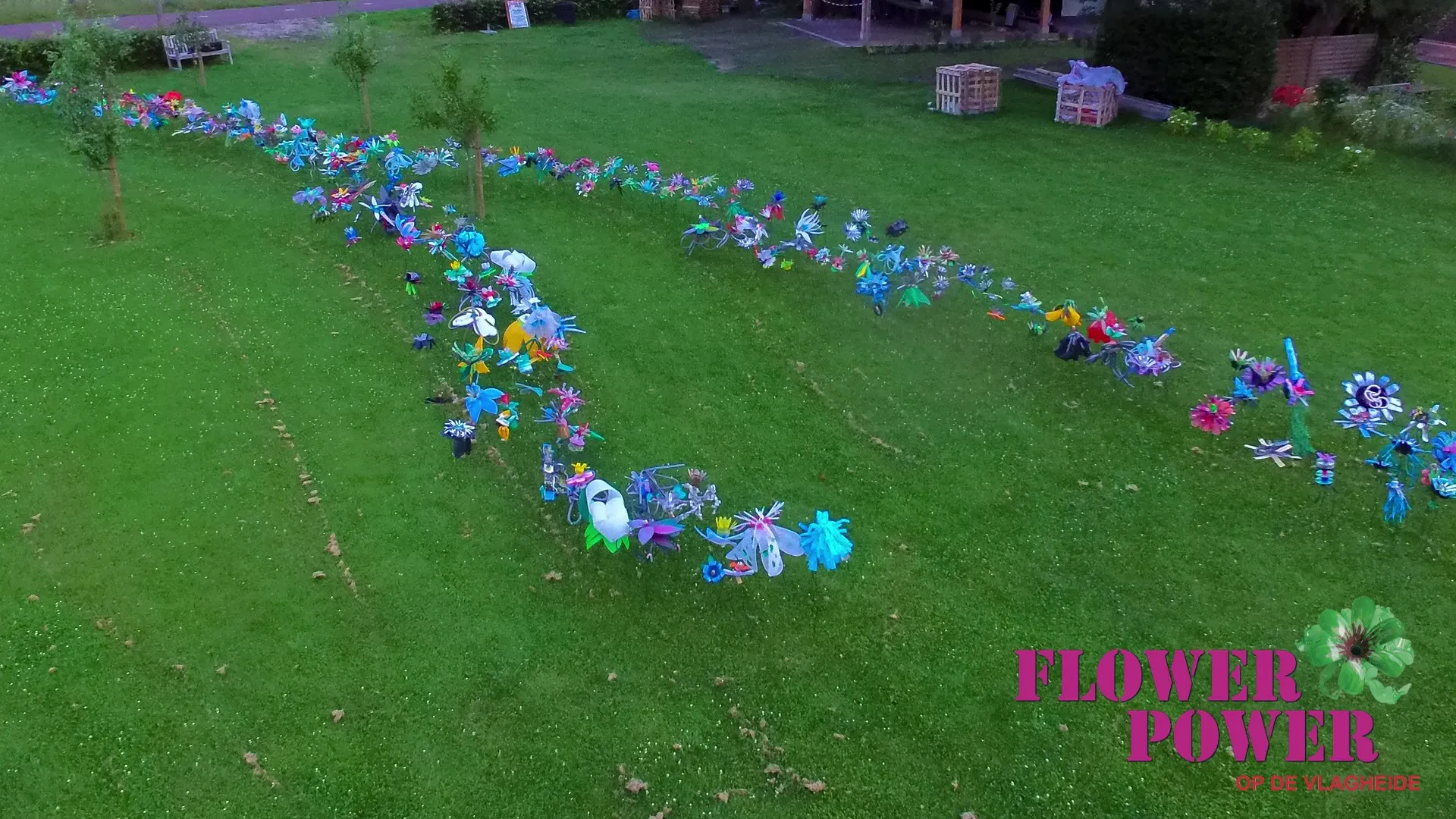 flower power op de vlagheide 2019 02