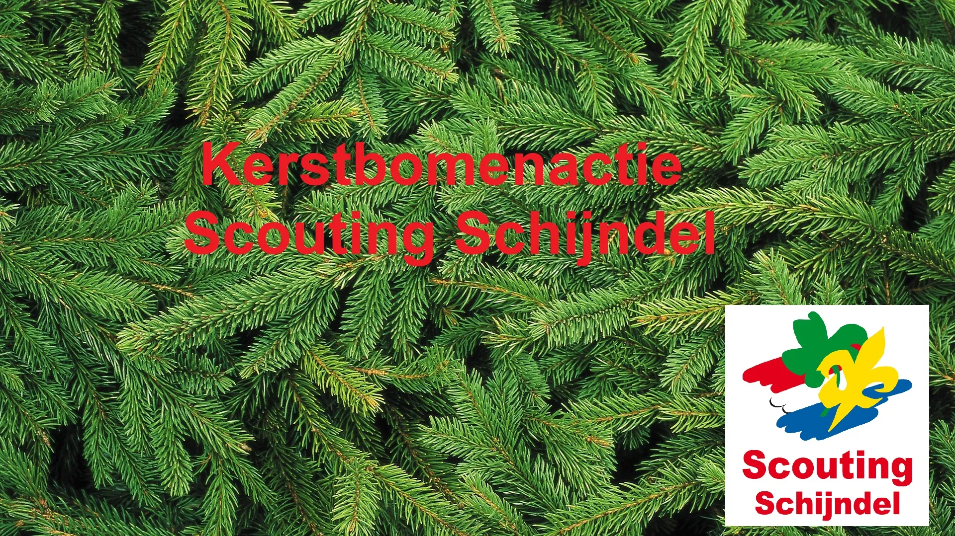 kerstboomactie