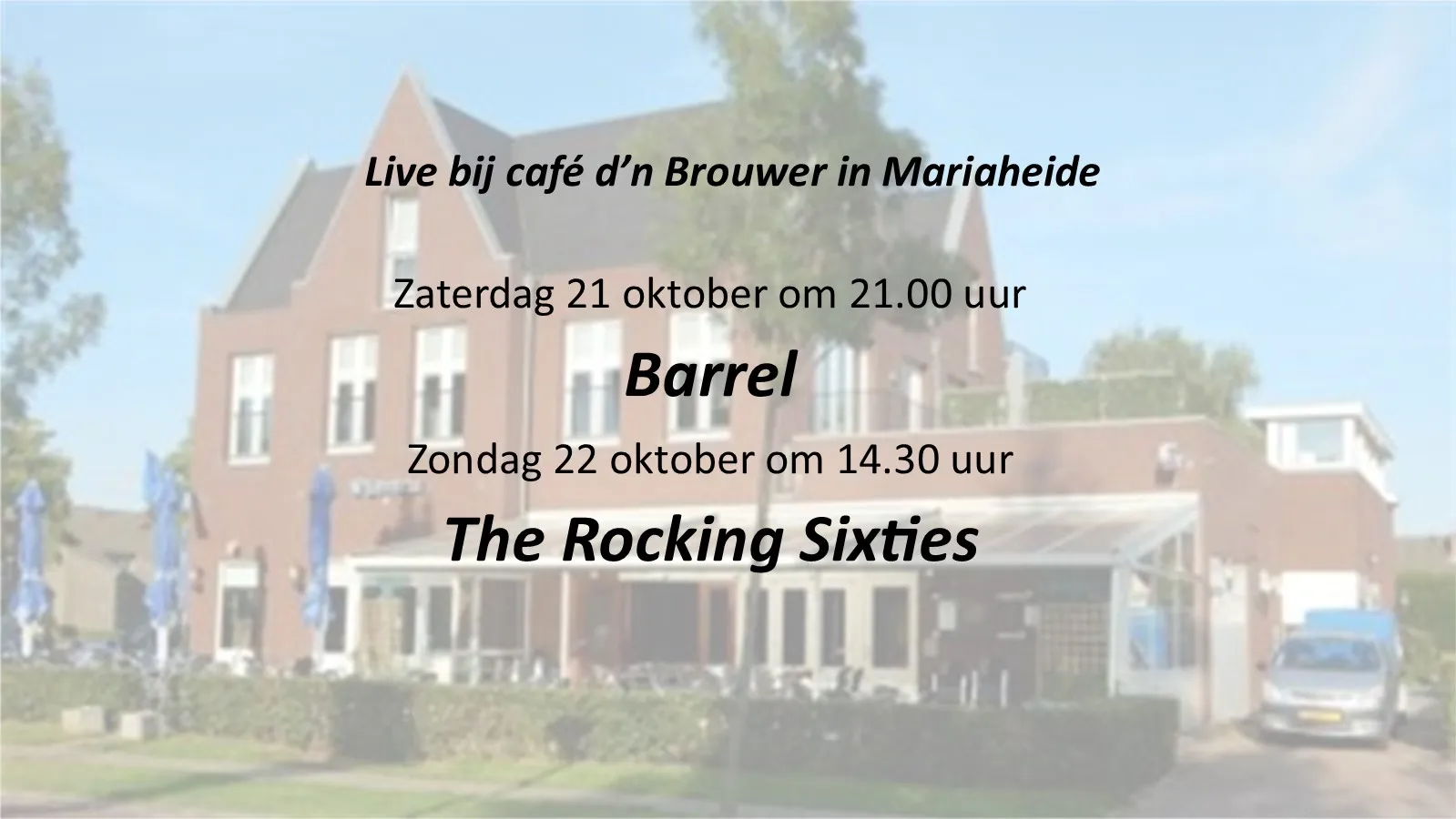 live bij dn brouwer 1