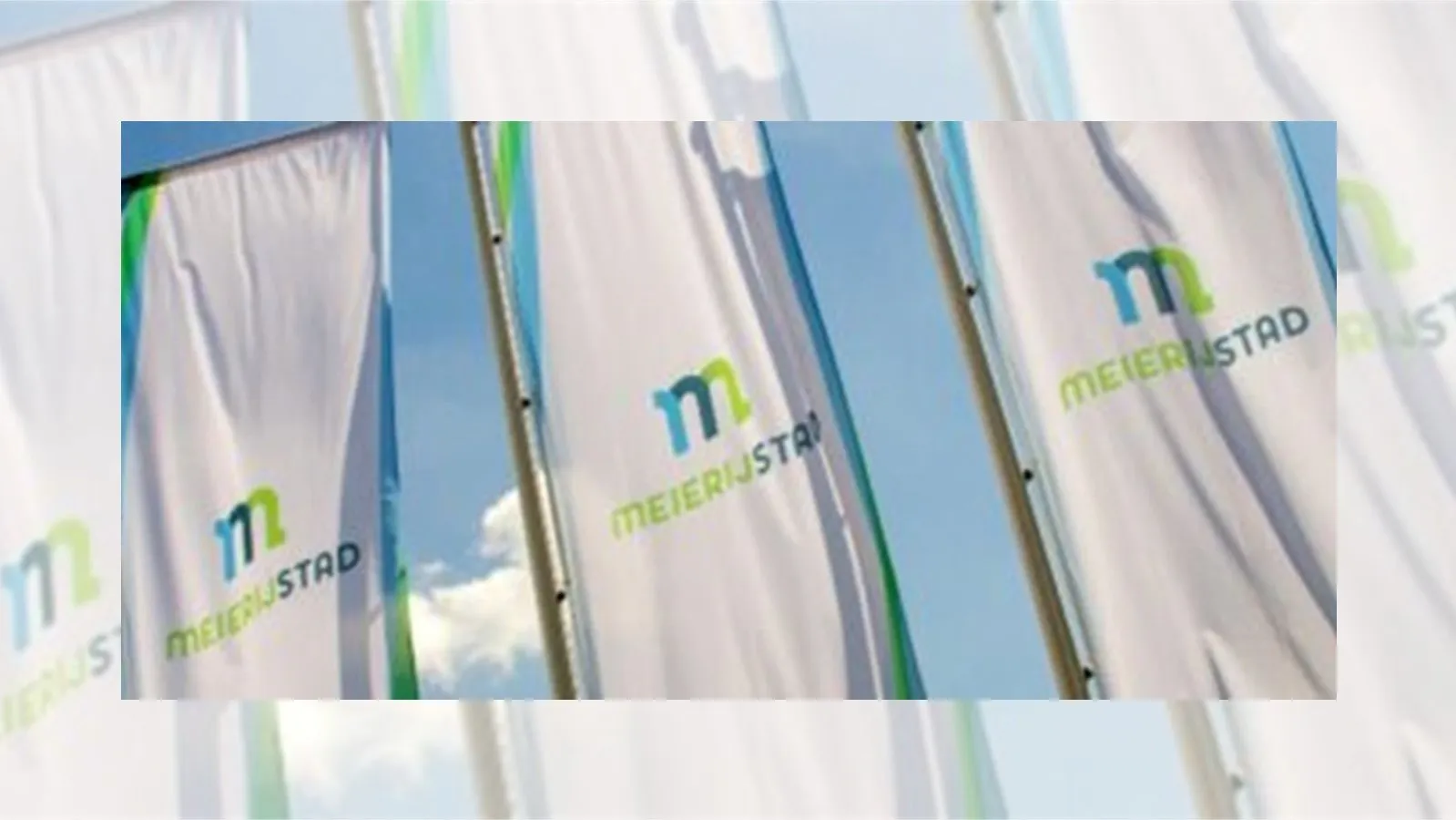 meierijstad vlaggenjpeg