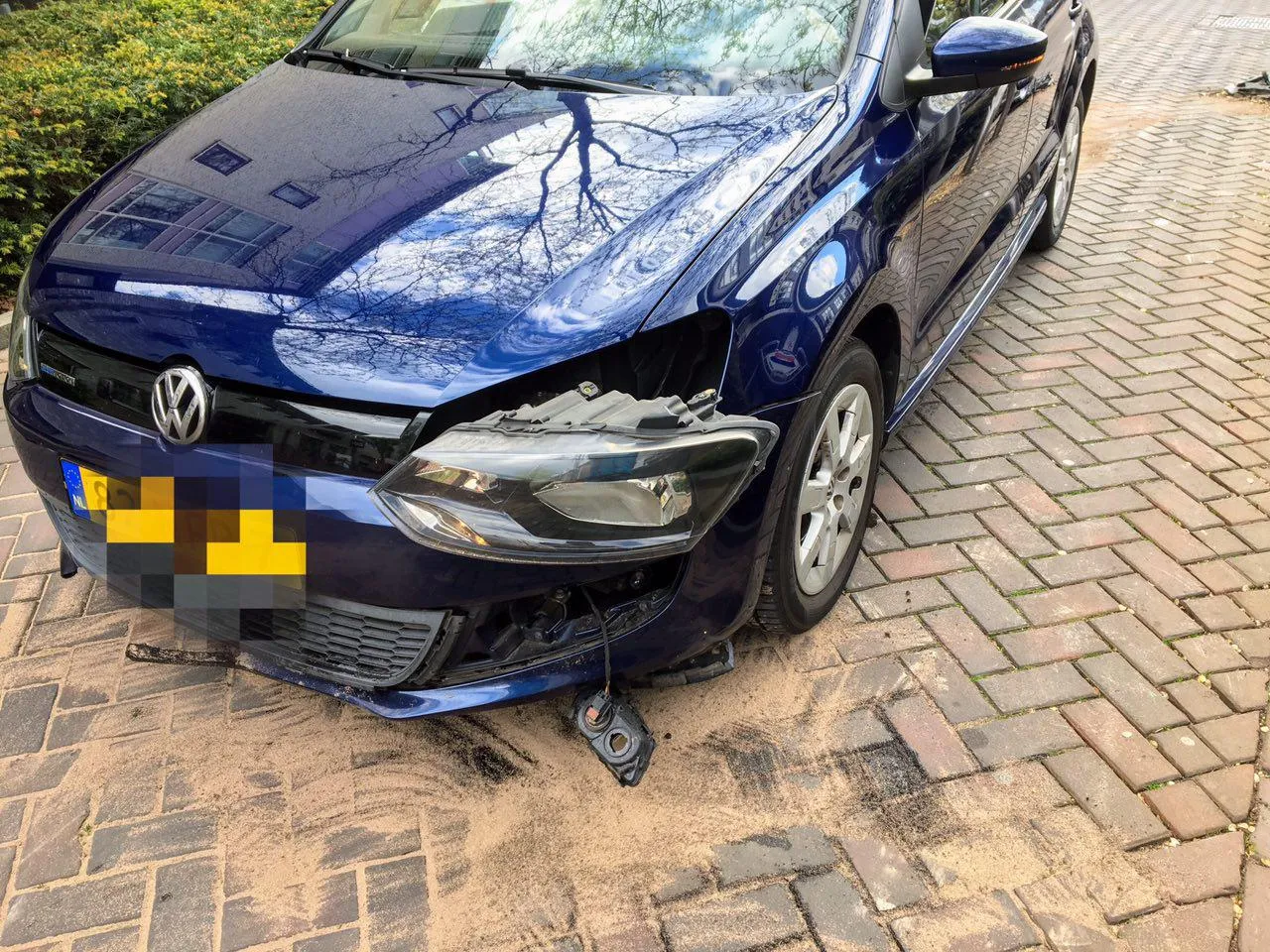 photo 2017 05 09 07 10 17