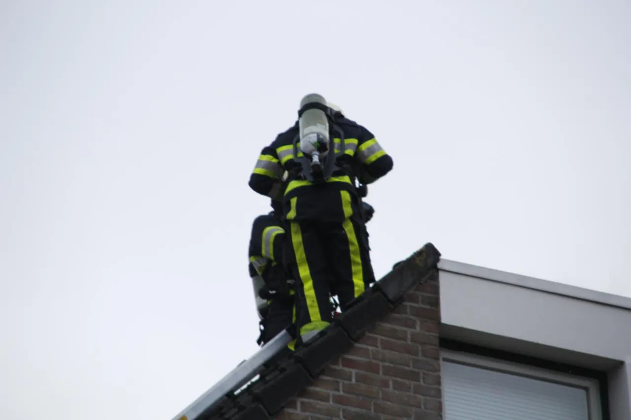 photo 2018 02 04 18 08 00