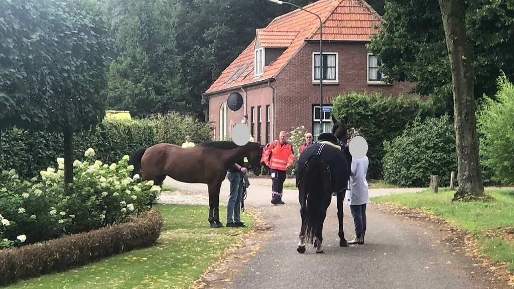 photo 2023 07 30 10 42 27